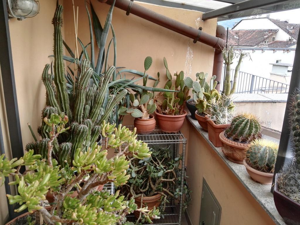 A Casa Di Gio Bed & Breakfast Turin Ngoại thất bức ảnh