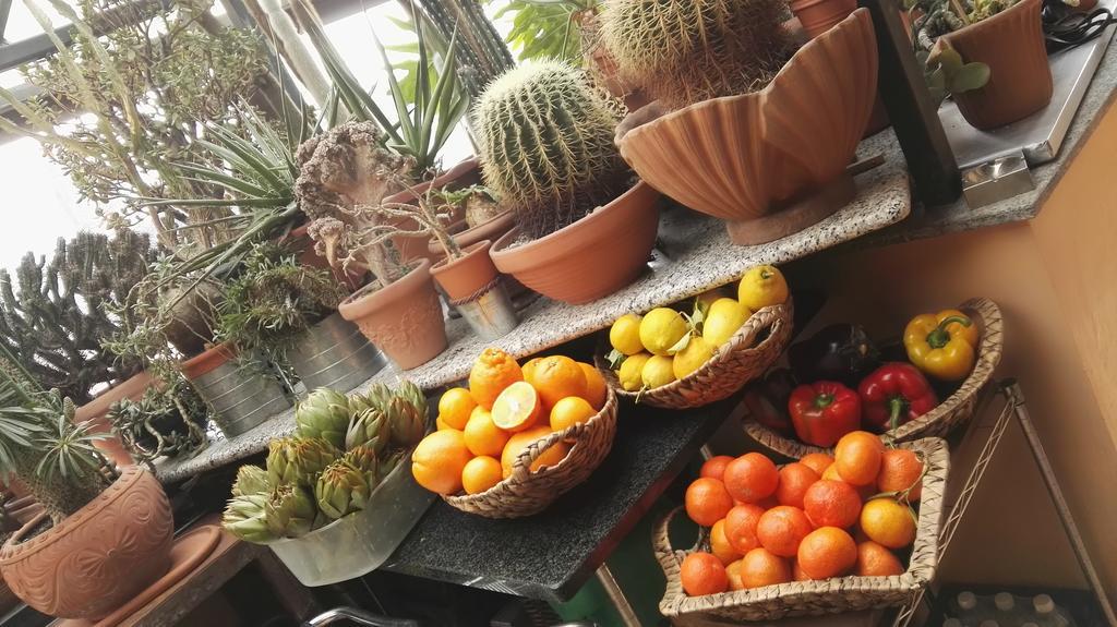 A Casa Di Gio Bed & Breakfast Turin Ngoại thất bức ảnh